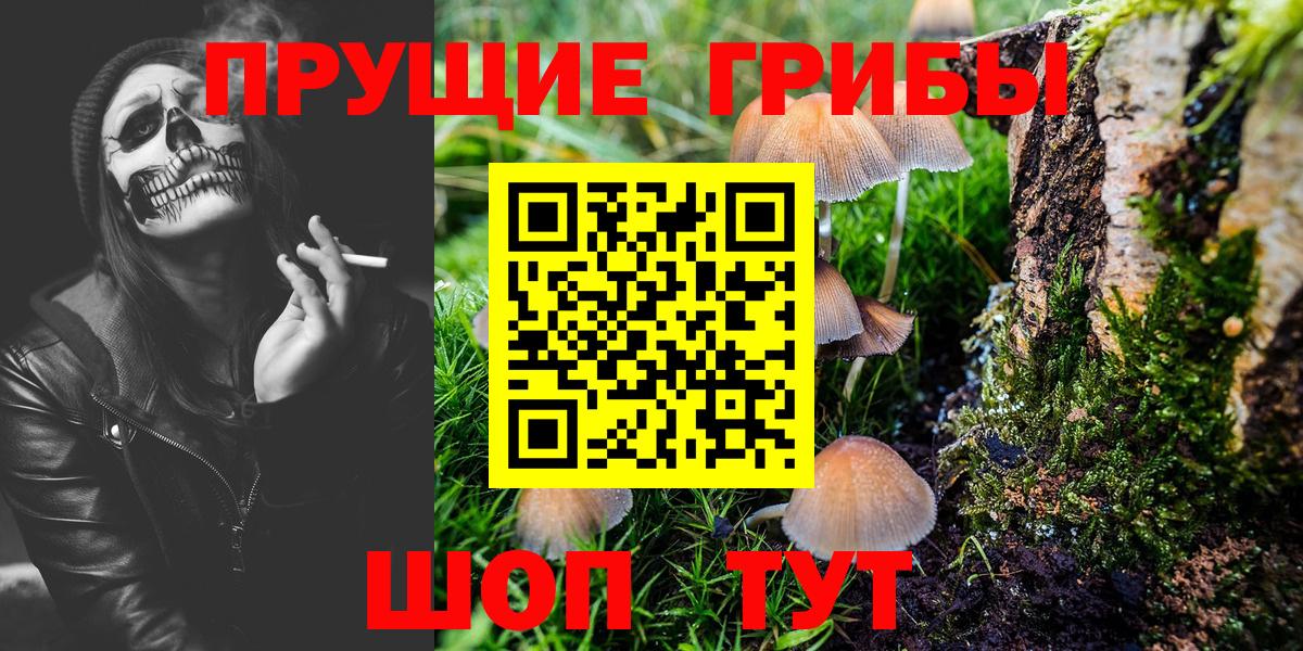 Егорьевск  Псилоцибиновые грибы мухоморы  Вход с VPN 